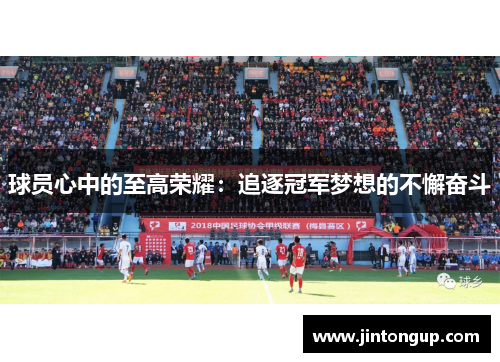 球员心中的至高荣耀：追逐冠军梦想的不懈奋斗