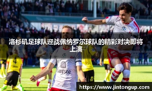 JN体育